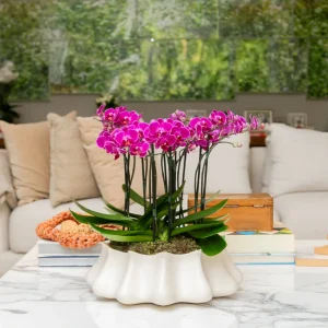 VASO NIKOLAI COM ORQUÍDEAS PINK