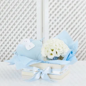 BABY BOY BOX